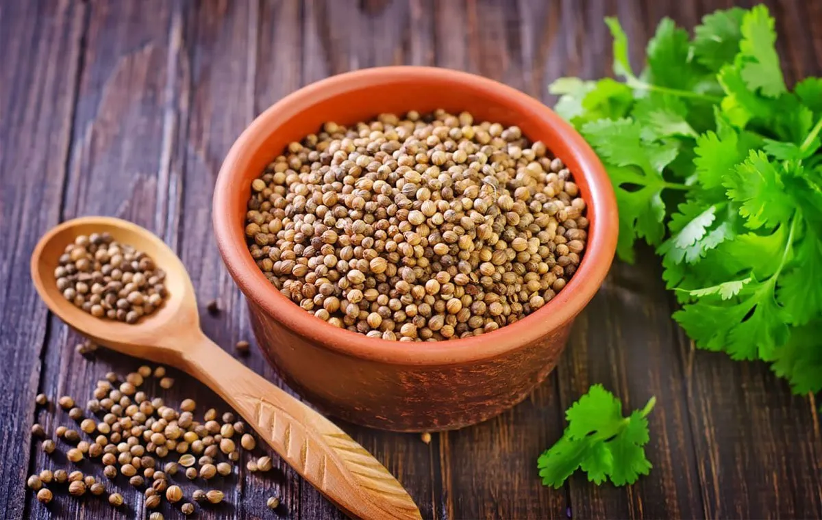 14 دارو گیاهی برای تسکین میگرن2