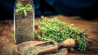2 گیاه دارویی با خواص ضدسرفه و آرام‌بخش