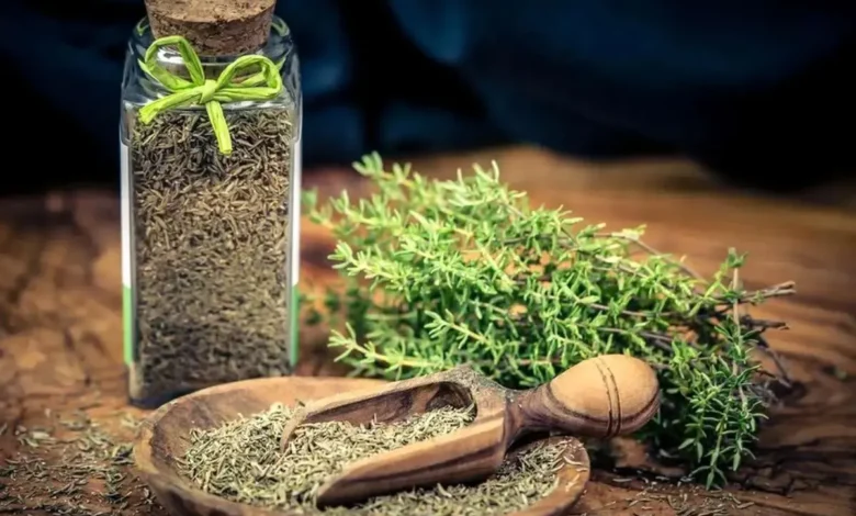 گیاه دارویی