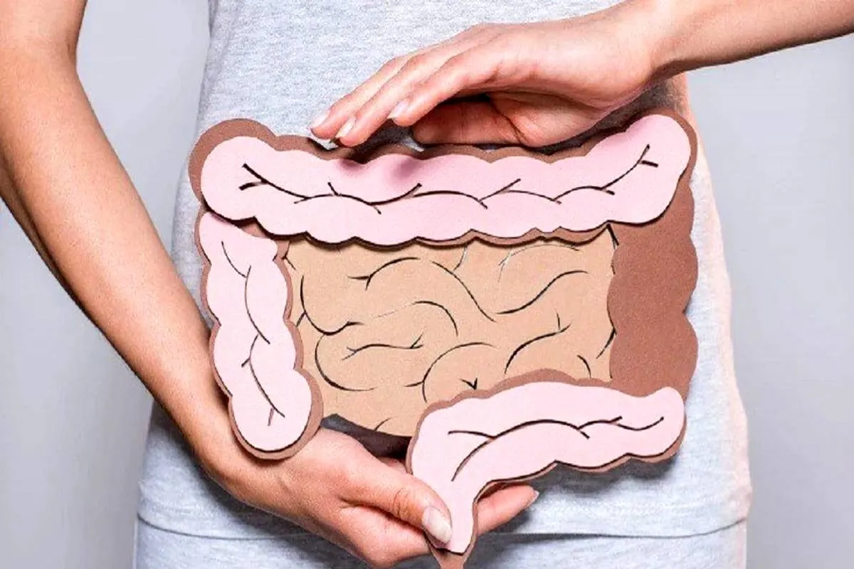 Digestion