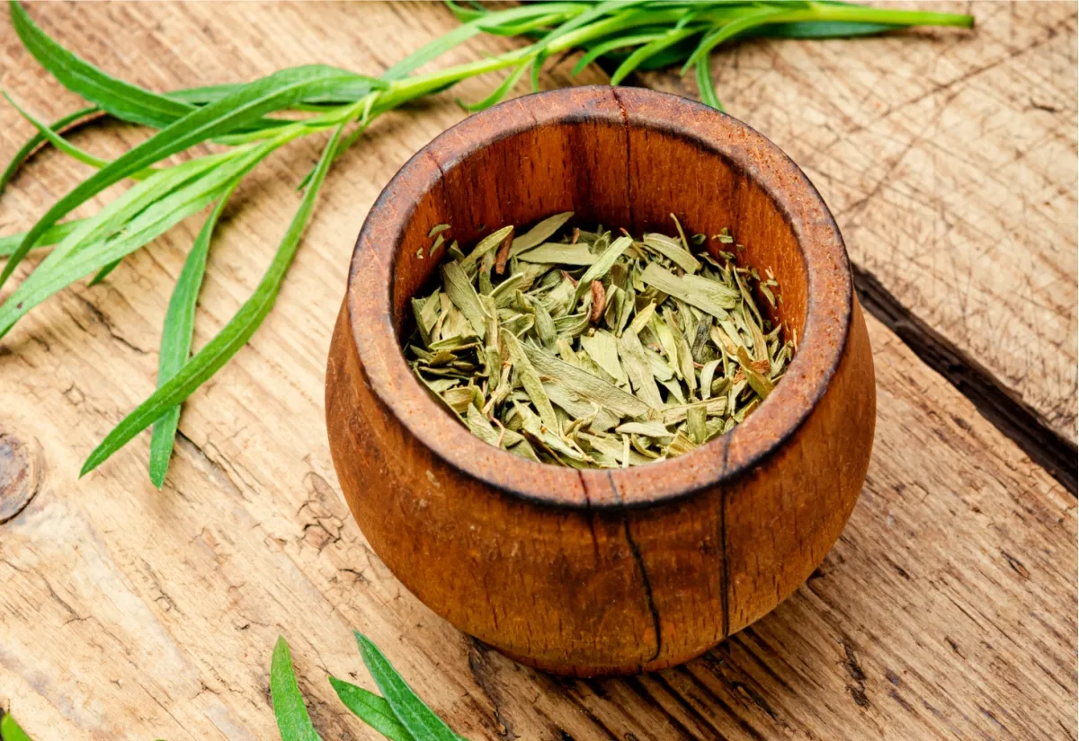 Dried tarragon3