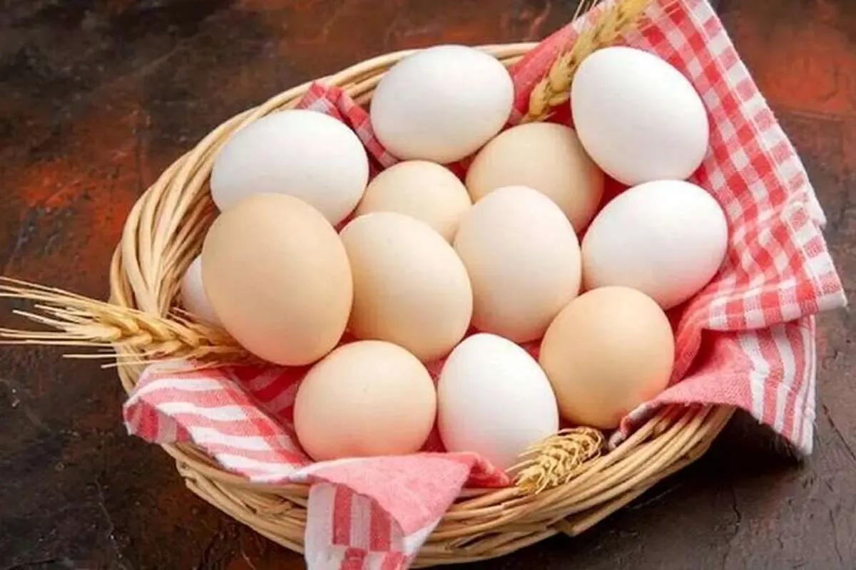 Egg 1