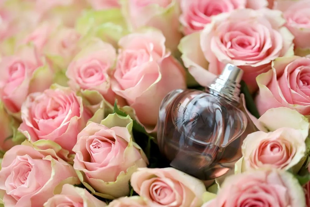 Perfume 1