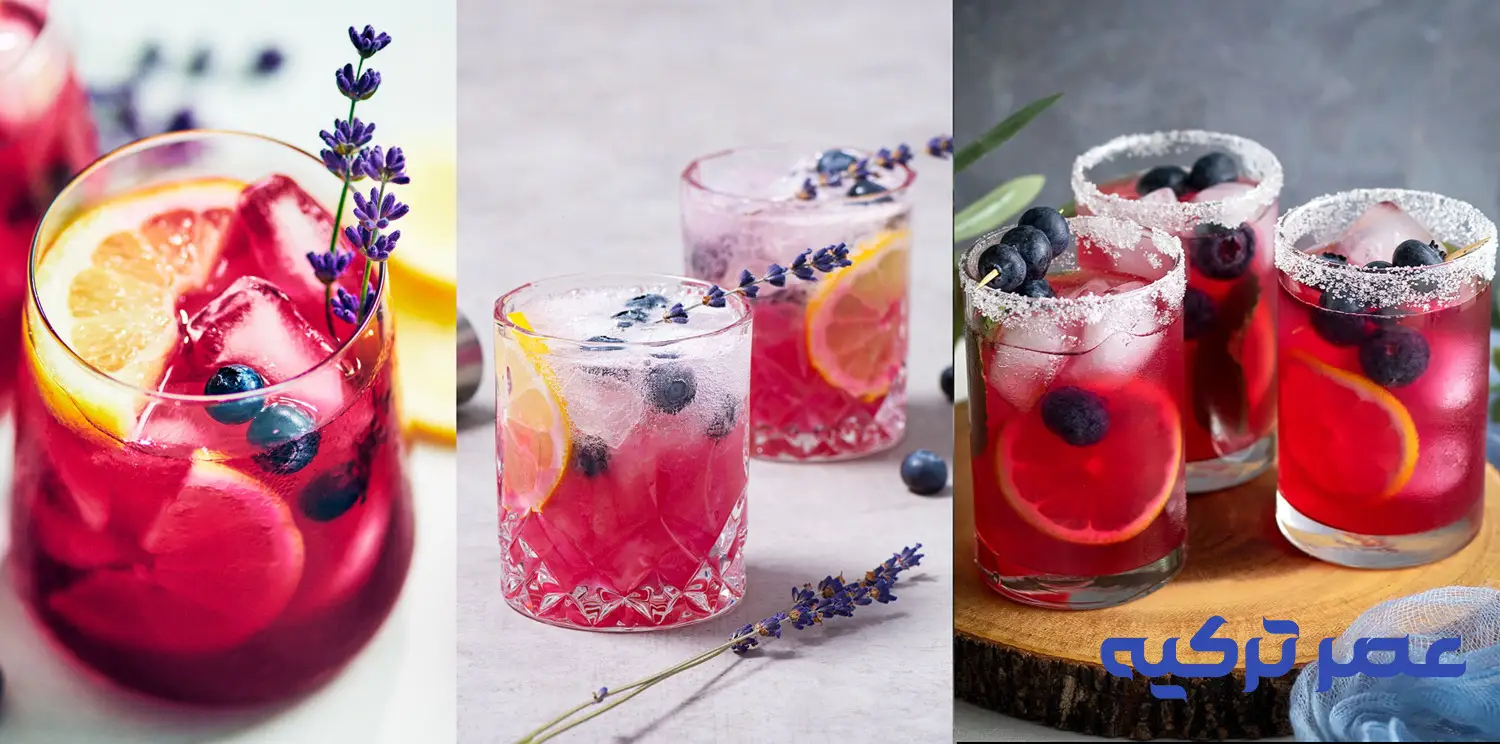 blueberry lemonade 9