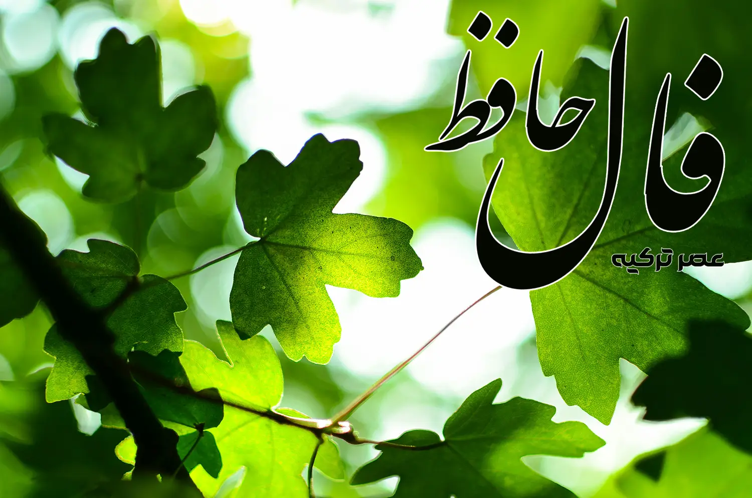 فال حافظ 2 خرداد 1404