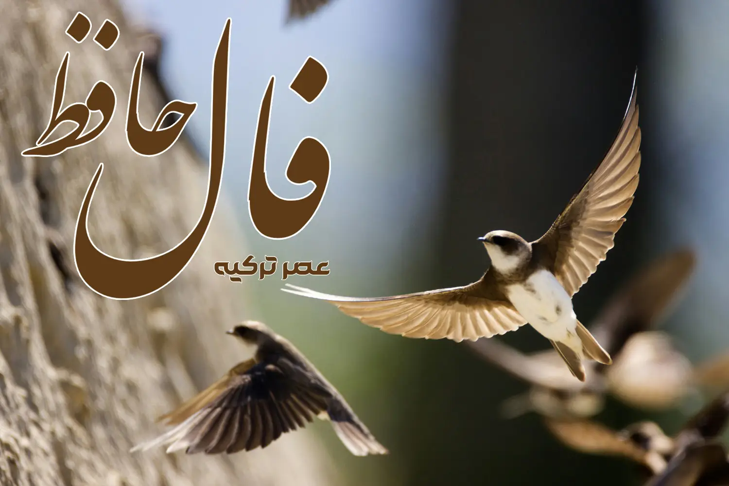 فال حافظ 5 خرداد 1404