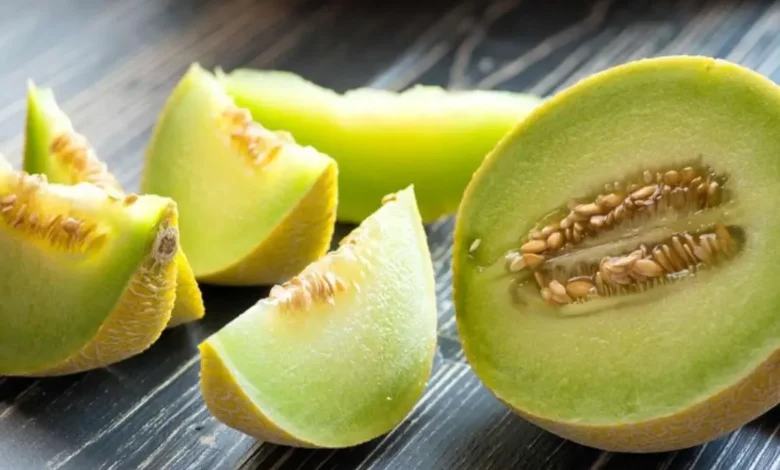 کاشت و پرورش ملون در گلدان