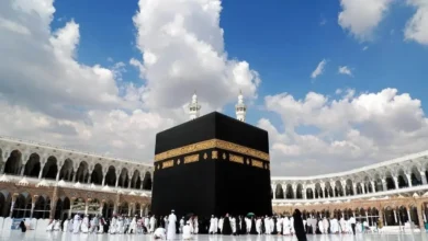 پرواز