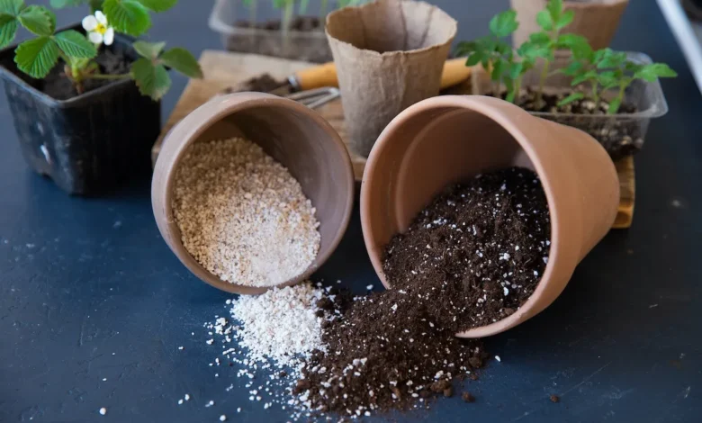 بهترین ترکیب خاک برای گیاهان آپارتمانی