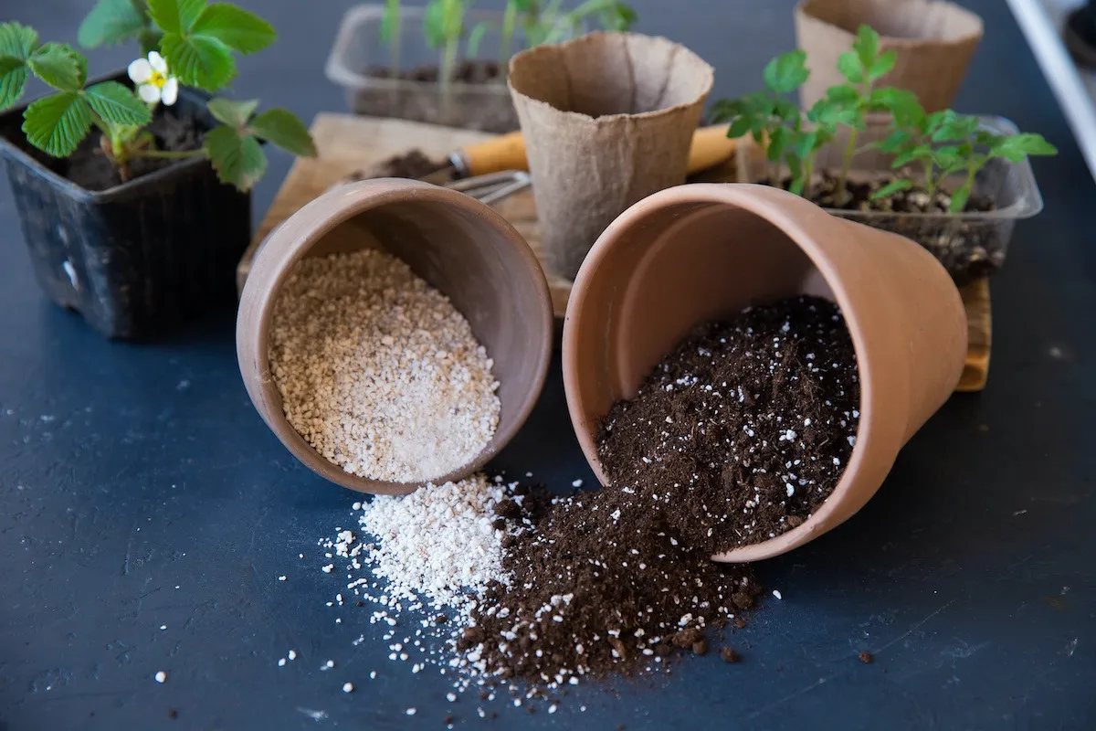 بهترین ترکیب خاک برای گیاهان آپارتمانی