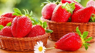 بهترین روش های از بین بردن کرم توت فرنگی4
