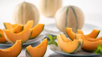 کاشت طالبی در گلدان