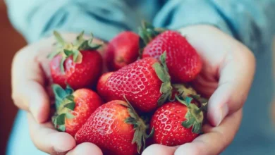 خواص این میوه بهاره برای درمان کبد چرب و دیابت1