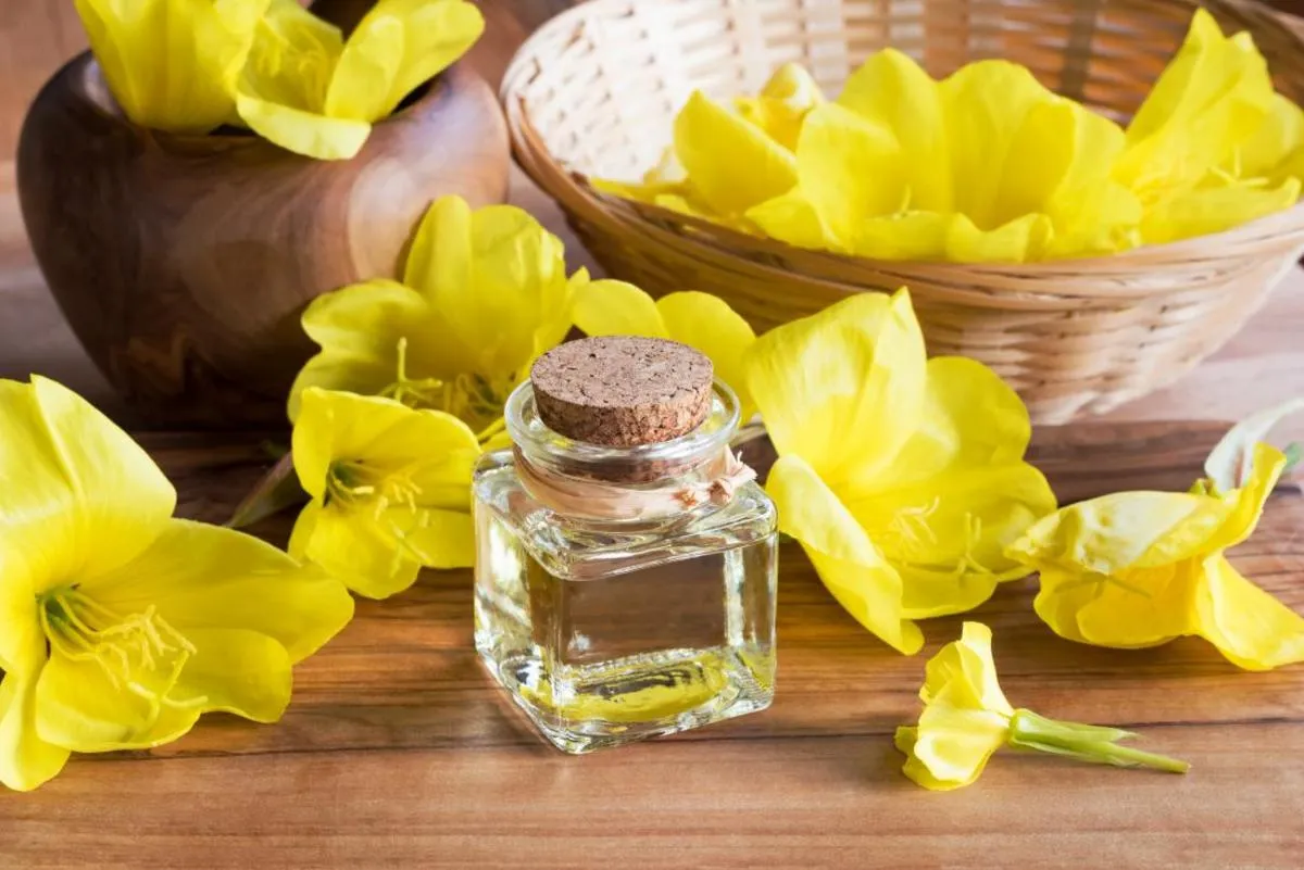 خواص روغن گل مغربی