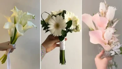 در این مطلب تصاویری از جدیدترین و زیباترین دسته گل‌ها برای عروس را برای شما منتشر کرده‌‌ایم