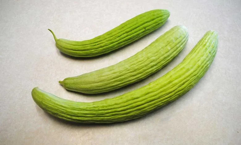 چربی خون