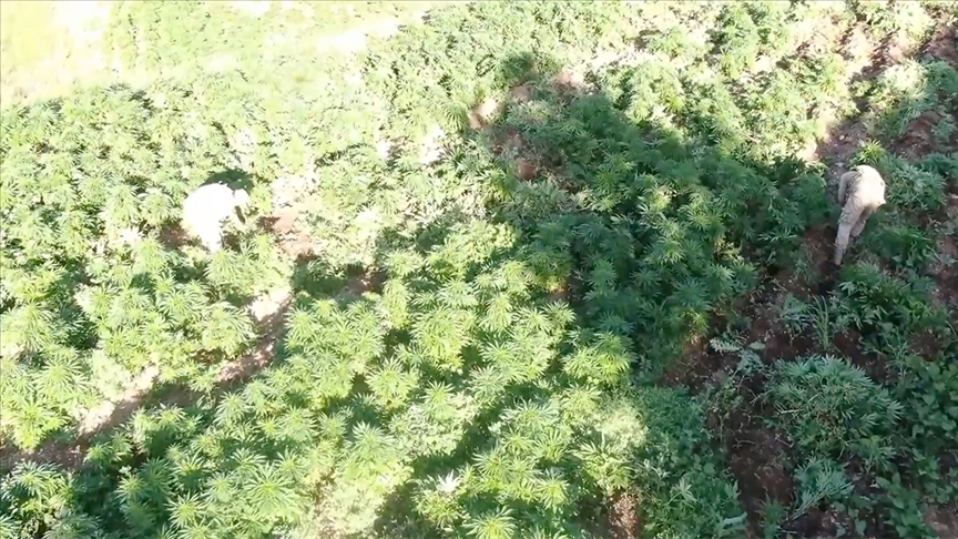 دیاربکر