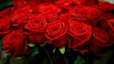 رنگ قرمز
