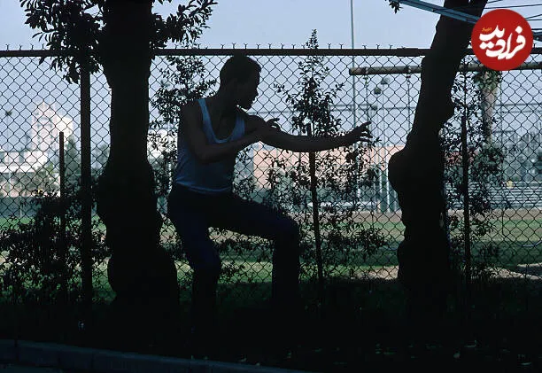 پسر بروس لی