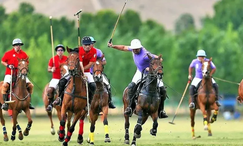 چوگان ایران