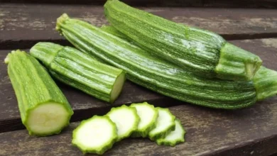 کدو سبز