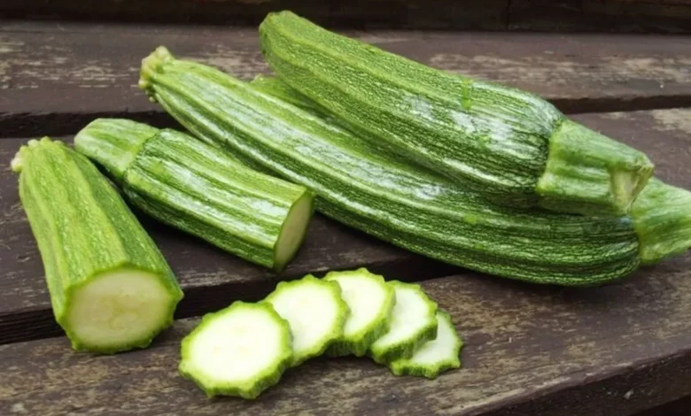 نان کدو