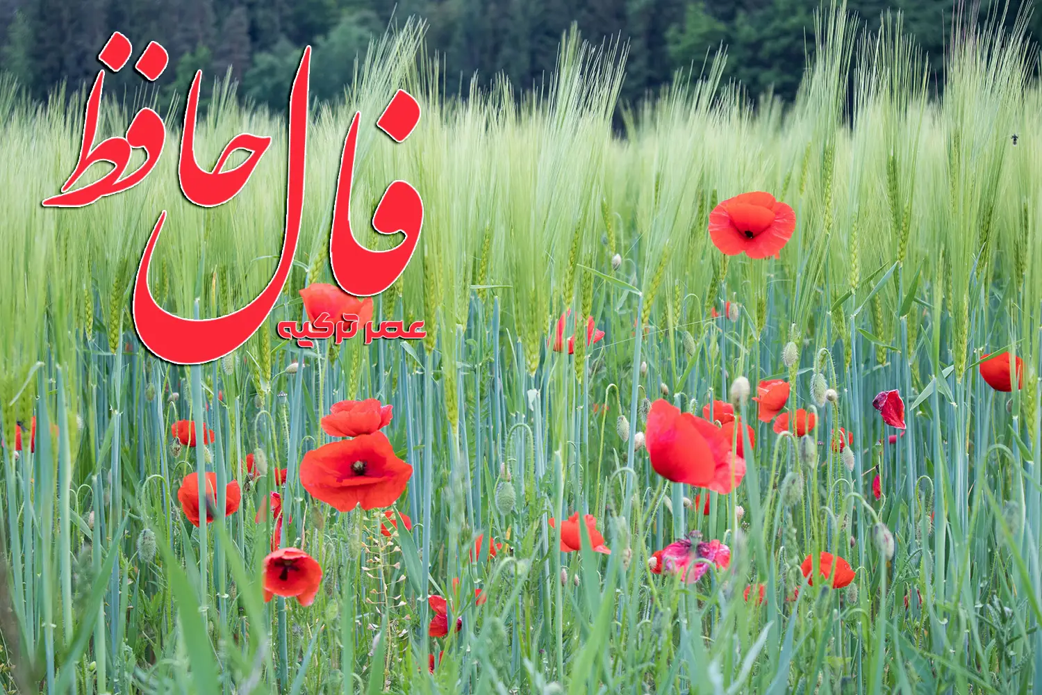 فال حافظ 15 اردیبهشت 1404