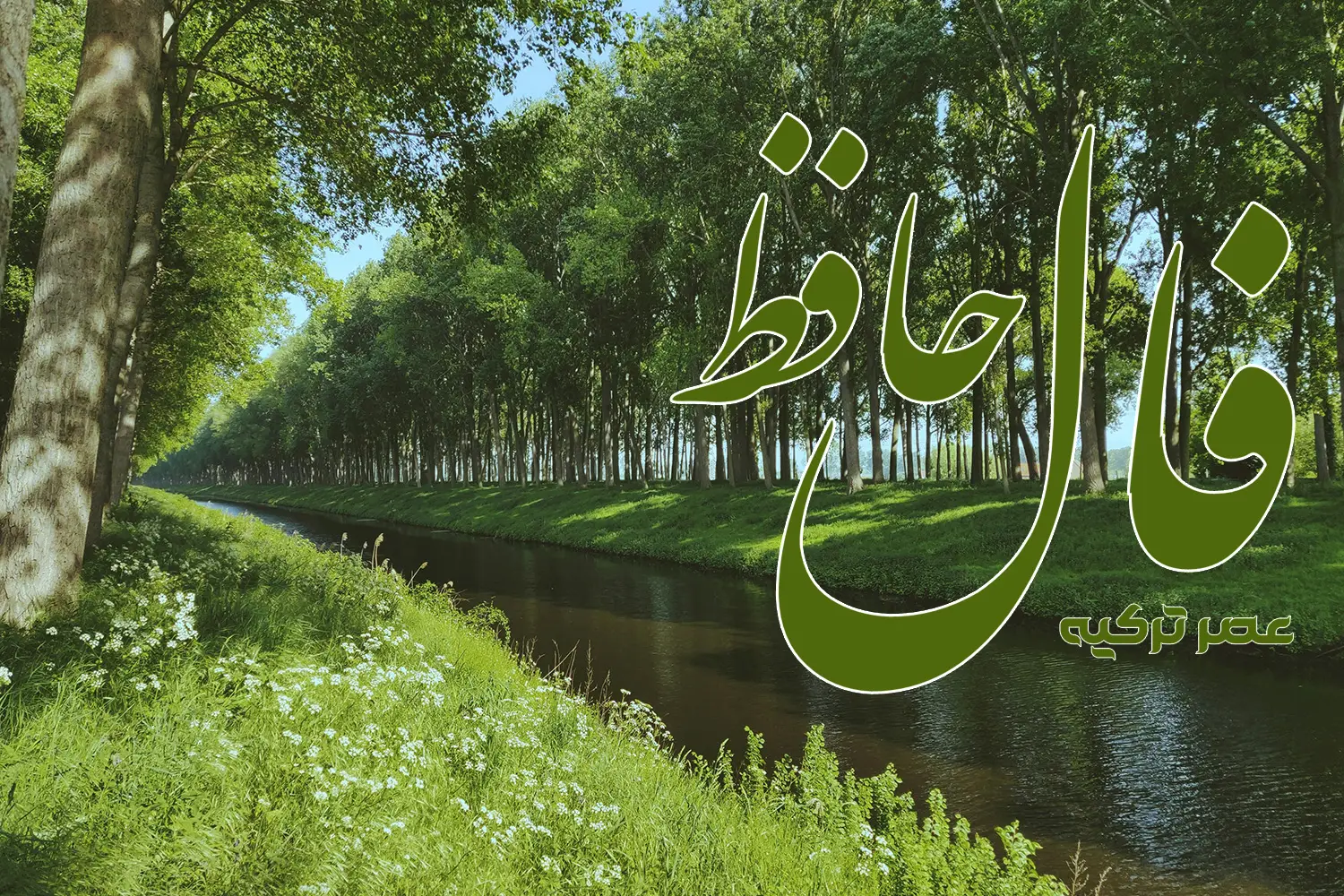 فال حافظ 18 اردیبهشت 1404