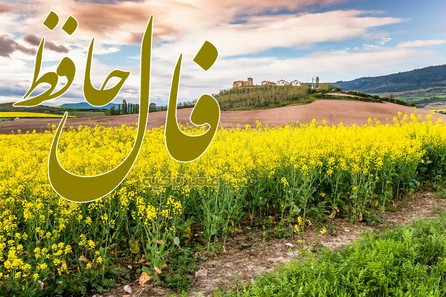فال حافظ 19 اردیبهشت 1404