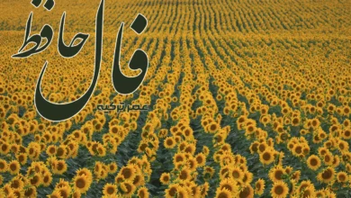 فال حافظ 21 اردیبهشت 1404