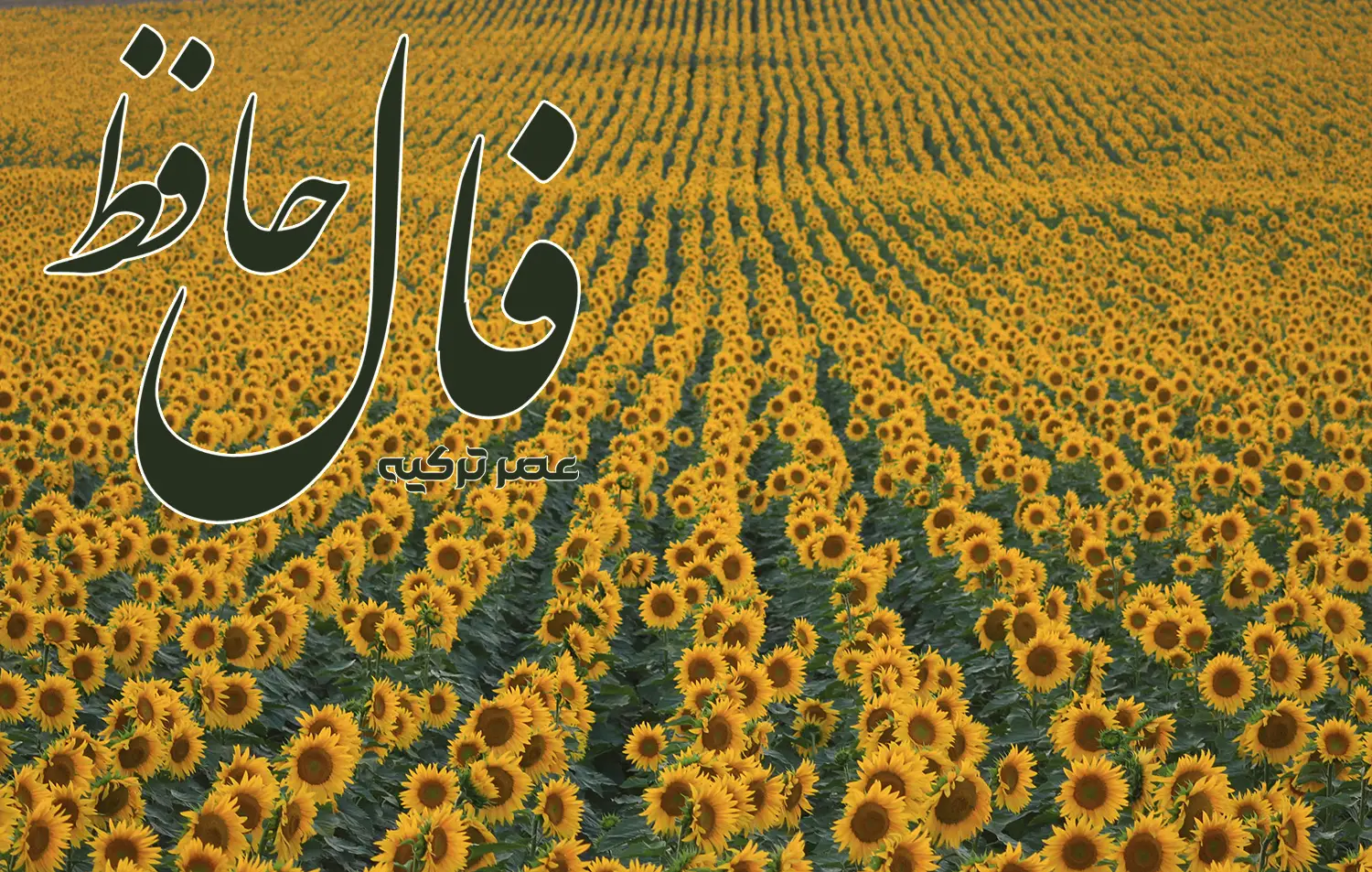 فال حافظ 21 اردیبهشت 1404