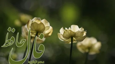 فال حافظ 24 اردیبهشت 1404