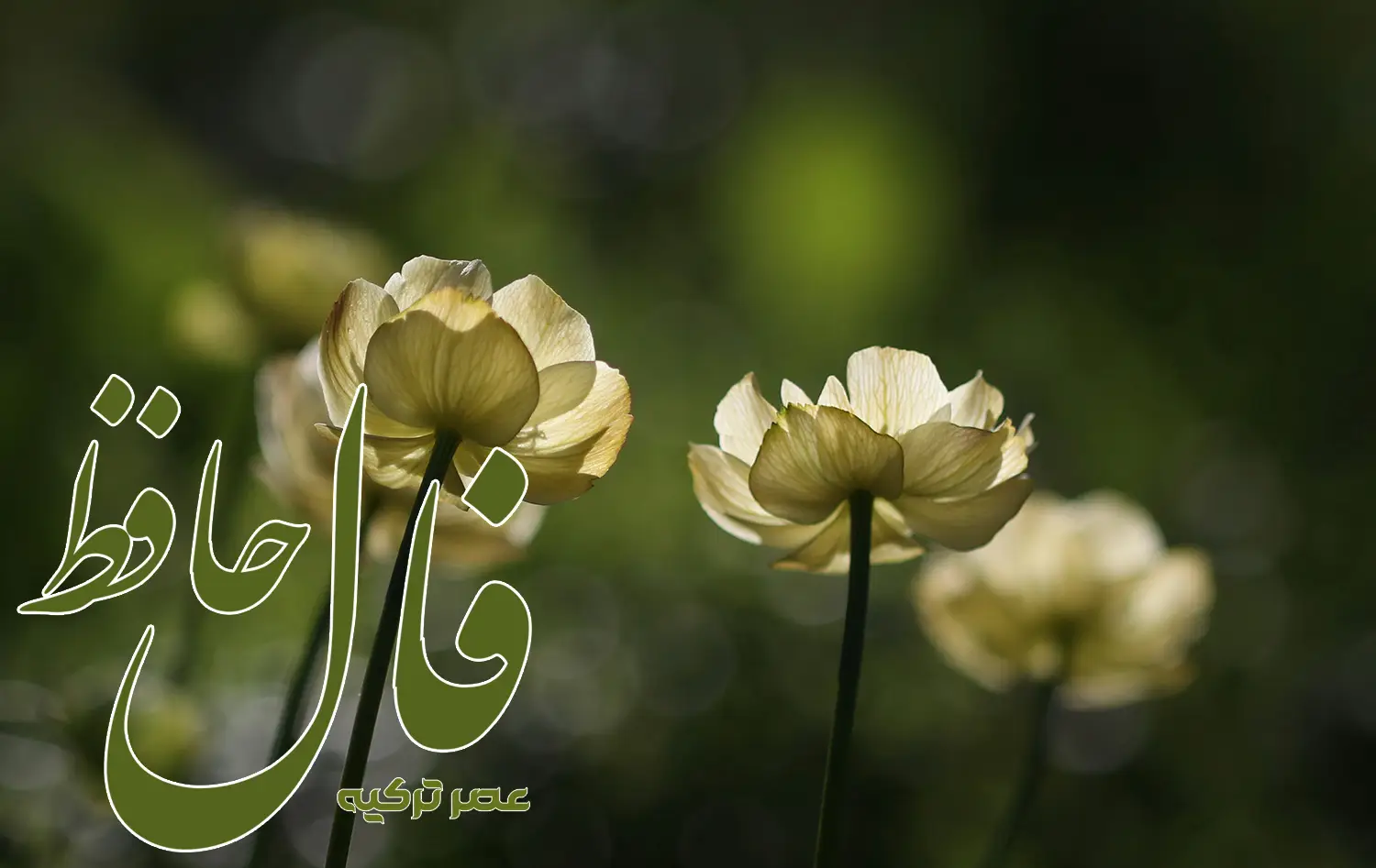 فال حافظ 24 اردیبهشت 1404