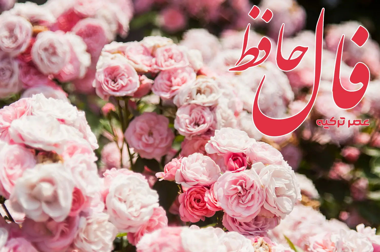 فال حافظ 27 اردیبهشت 1404