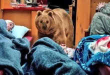 بهتاش