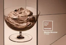رنگ سال ۱۴۰۴