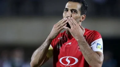 وحید امیری