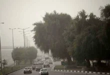 وزش باد