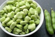 کاشت باقلا سبز