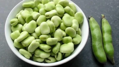 باقلا سبز