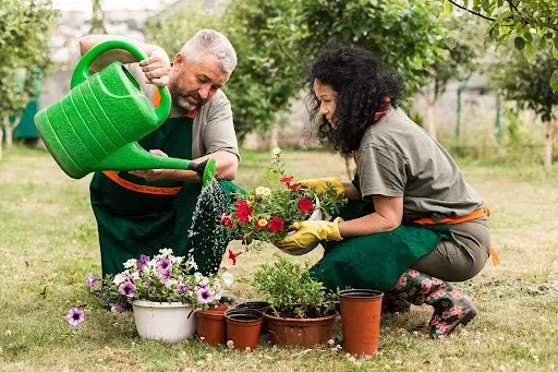 پیاده روی