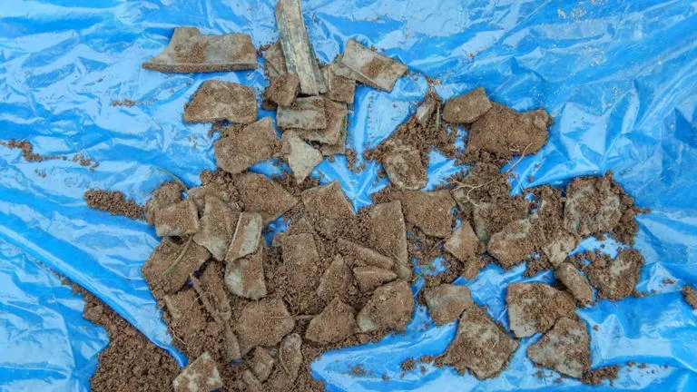 گنج1