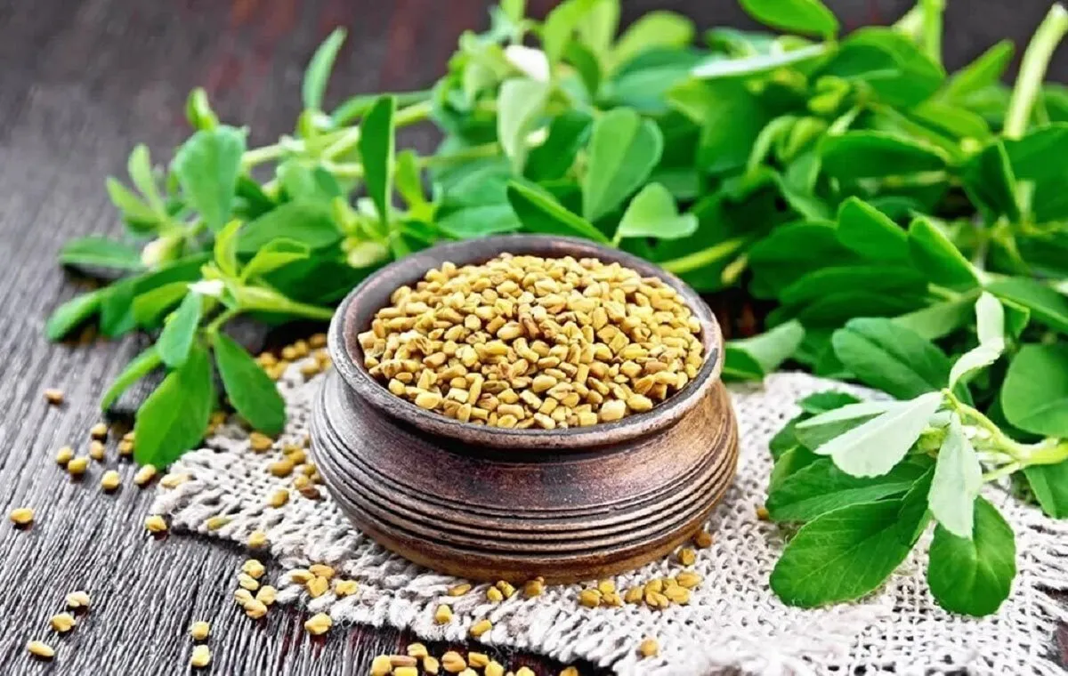 گیاهان اشتها آور و چاق کننده