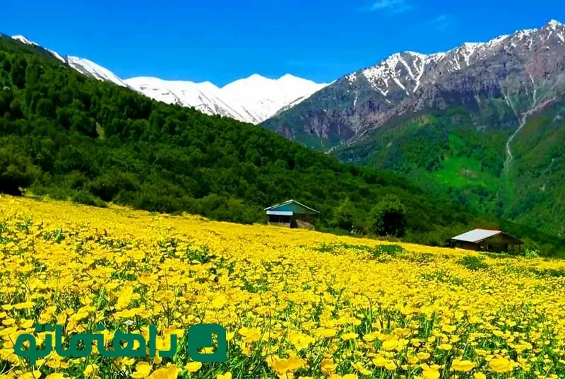 جنگل‌های دو هزار و سه‌ هزار