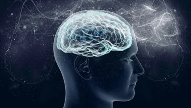 ۴ مهارت مفید برای تقویت حافظه