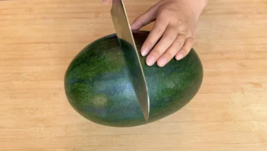 ۷ روش جالب برای برش زدن هندوانه فیلم