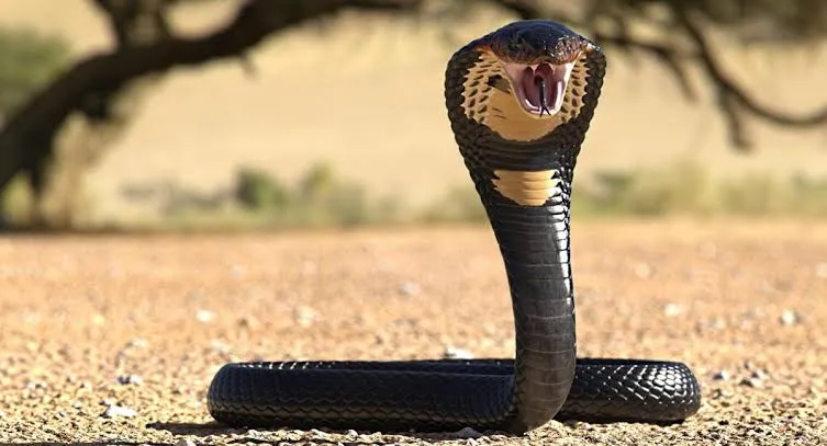 1 322