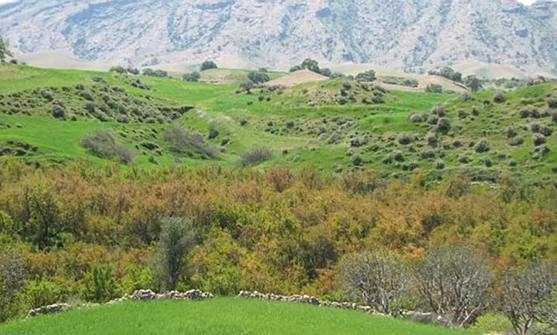 دره