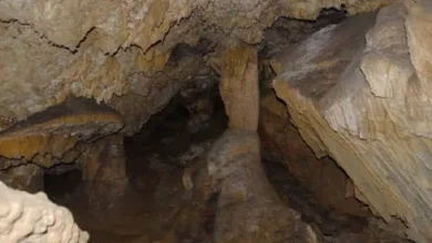 معمای گورستان 5 هزارساله