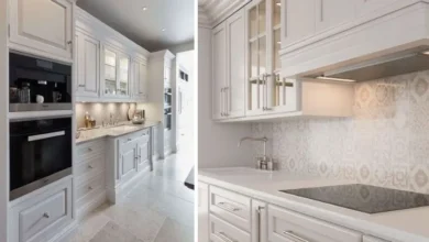 تولهروباههای قرمز در کارس توسط طبیعتدوستان تغذیه می شوند 8 14 6